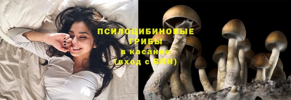 шишки Баксан