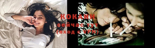 шишки Баксан