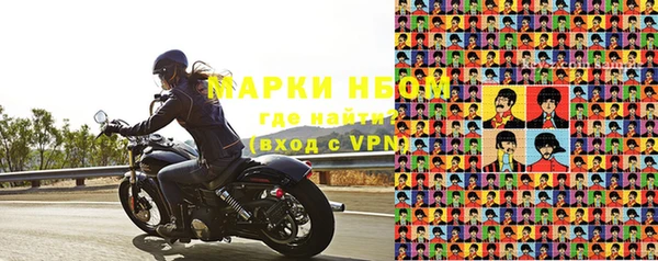 шишки Баксан