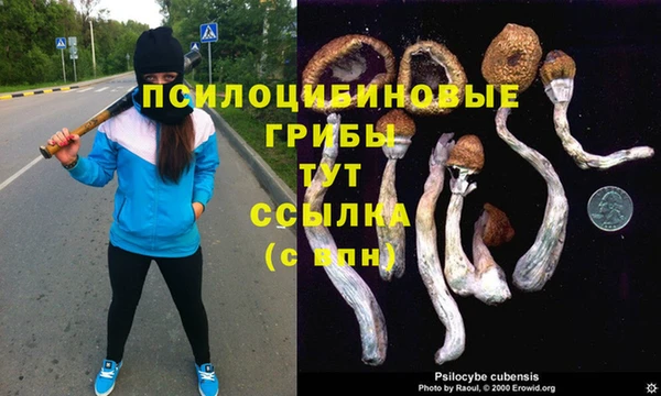 стафф Балахна