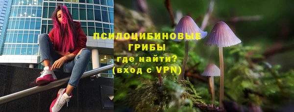стафф Балахна