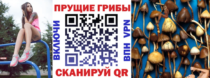 Псилоцибиновые грибы прущие грибы Вуктыл